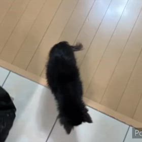 段々と。の画像