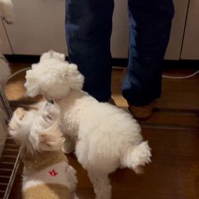 全員集合　〰️   ！の画像