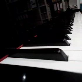 Winter Wonderlandの画像