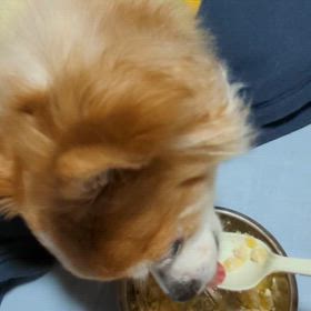 頑張ったね。の画像