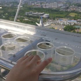 〜修学旅行〜友達0人のま〜まだった4の画像