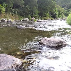 7月１１日(金曜日)弘瀬下17の画像