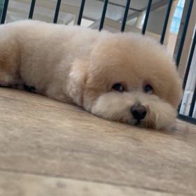 みるもくん♡の画像