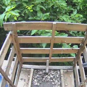 すぎぴたんの事件簿シーズン3　531話（まだ、おねだり中！　子ヤマガラ）の画像