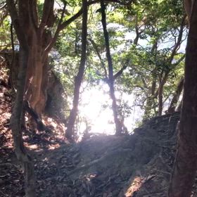 心身を清める癒しのパワーの画像