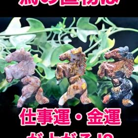 ゴールデンリーフアゲートの馬✨の画像