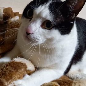 3月7日(木)晴れの画像