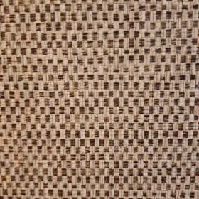 面と向かうと瞬時に識別してくる奴らに対しての画像