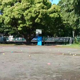 5/3 基本動作（ボール投げの場）⑤の画像