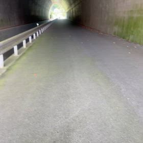 25.08.28 リハビリ#13の画像