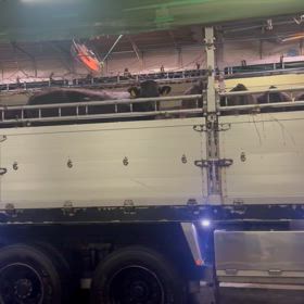 中古車購入奮闘記#26の画像