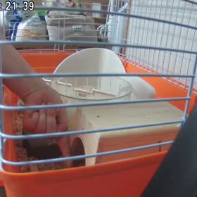 ヒーローと暮らす1週間目の画像