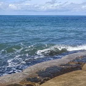 9月も終わりだね～。の画像