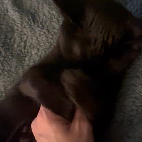 病み上がりの画像