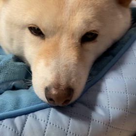 春はまだかな？の画像