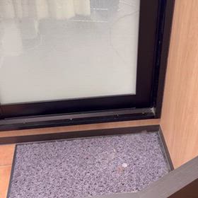 綺麗なお姉さんは好きですの画像