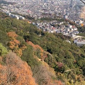 カーレーターとロープーウェイ動画　なんの変哲もありません。の画像