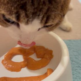 【6月29日〜長期休業前のご案内です】の画像