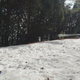 2026.2.23 兵庫県 粟鹿山にての画像