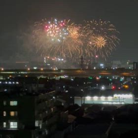 正面から見るの画像