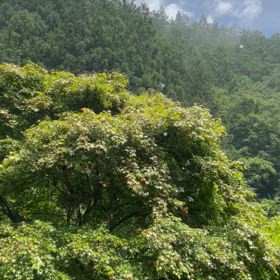 晴れ間が見えてきましたの画像