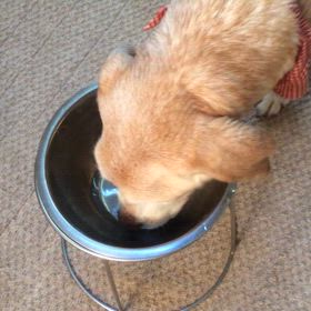 Googleフォトの画像