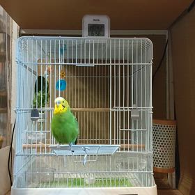 「ごはんにしよ。」の画像