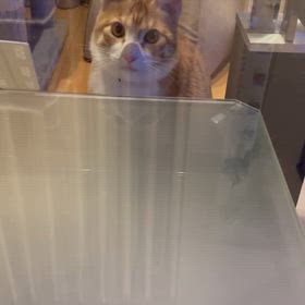 大丈夫だと思わないでの画像