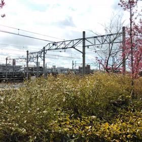 ゆっくりだけどもお天気が良くなってきた週の真ん中水曜日はの画像