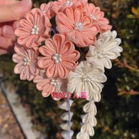 アラカン、インスタもイマイチだけど、キャンバで作った。の画像