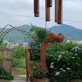 風鈴の音の画像