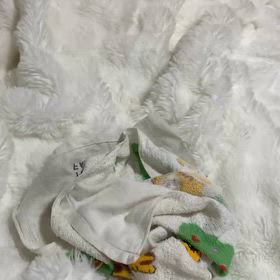 ノーズトレーニングの画像