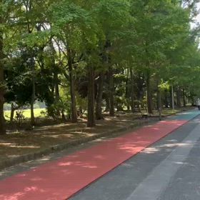 航空公園練習③の画像