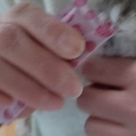 ハムスター疑似冬眠の画像