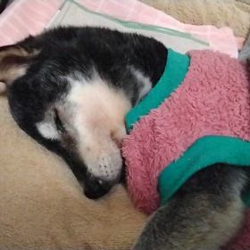 落ち着きました。の画像