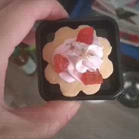 愛犬のクリスマスケーキの画像