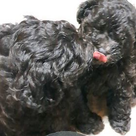 スクスク成長中の画像