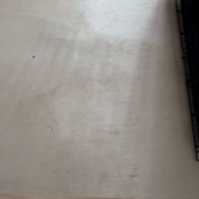 猫のいる家庭へ行く子の最終試験（猫慣れ）の画像