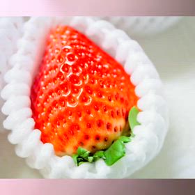 どうしようもないなりに、、、角度を変えて　♡     2024年22本の画像