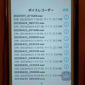 録音出来た!の画像