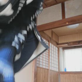 サミーわぁ！オラオラオラの画像