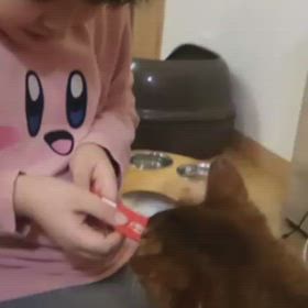 ポテちゃんの画像