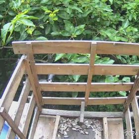 すぎぴたんの事件簿シーズン3　527話（ホオジロ！ご来店）の画像