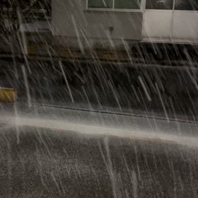 何年かぶりの雪の画像