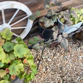 それぞれの楽しみの画像