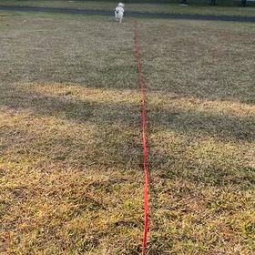 いつもの場所での画像