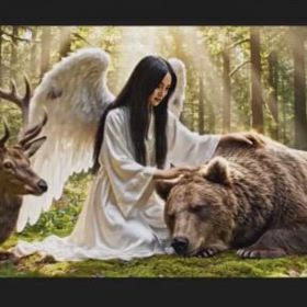 またクマちゃん殺られたの画像