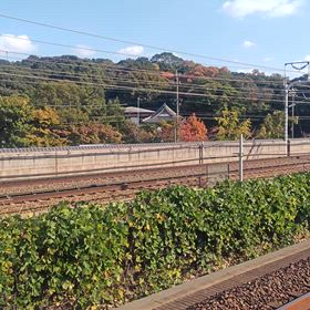 新幹線ドクターイエローの画像