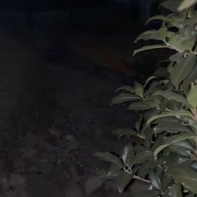 動作確認済み　　　2026／2／2の画像