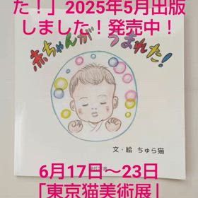 2025年5月ちゅら猫作絵本「赤ちゃんがうまれた！」出版しました‼️販売中‼️の画像